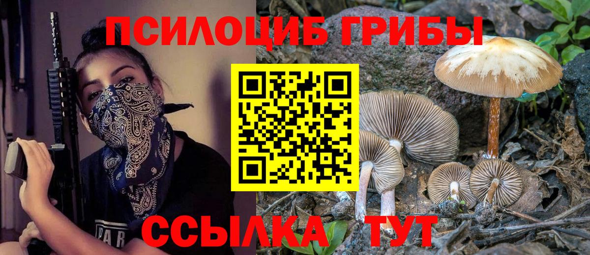 Лянтор  Псилоцибиновые грибы Psilocybe  Вход с VPN 