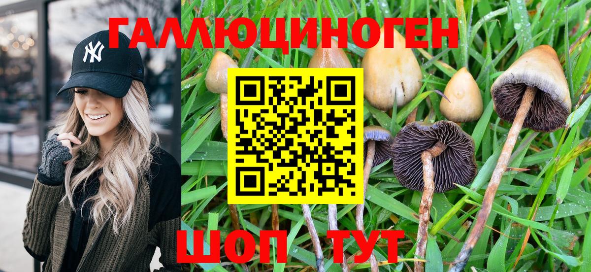 Галлюциногенные грибы MAGIC MUSHROOMS Лянтор